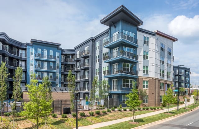 Cadence Music Factory photos photos