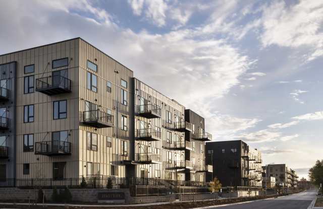 Martin photos photos Martin photos photos