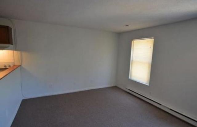 102 West Springfield - 102 West Springfield Street, Boston, MA 02118