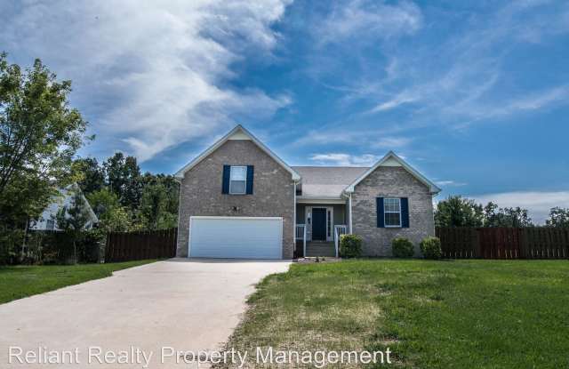 478 Kristie Michelle Lane - 478 Kristie Michelle Lane, Montgomery County, TN 37042