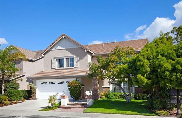 19 Tennessee photos photos