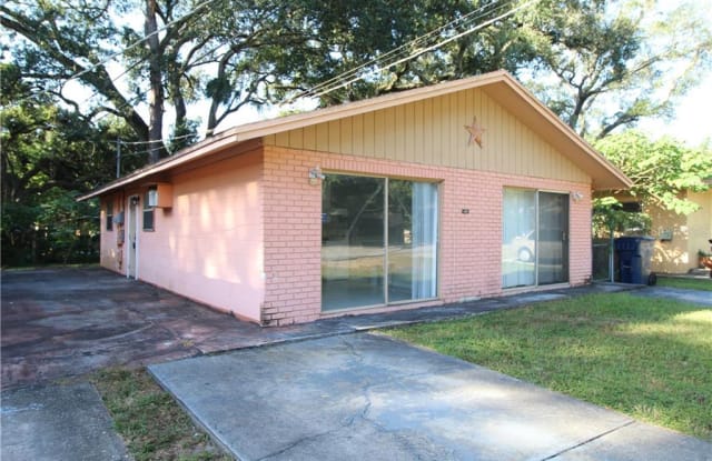 4215 E SEWAHA STREET - 4215 East Sewaha Street, Tampa, FL 33617