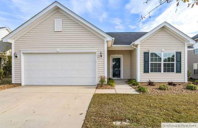 ONE STORY HOME IN CHAPIN'S WESTCOTT RIDGE - 825 Burnview Lane, Richland County, SC 29036
