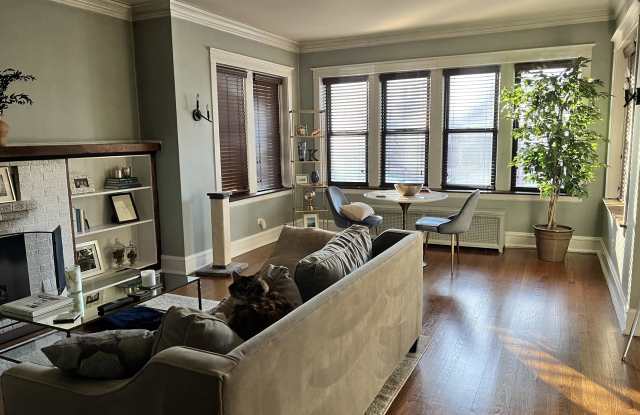 4847 N Washtenaw Ave, Unit 2, Chicago, IL 60625 photos photos