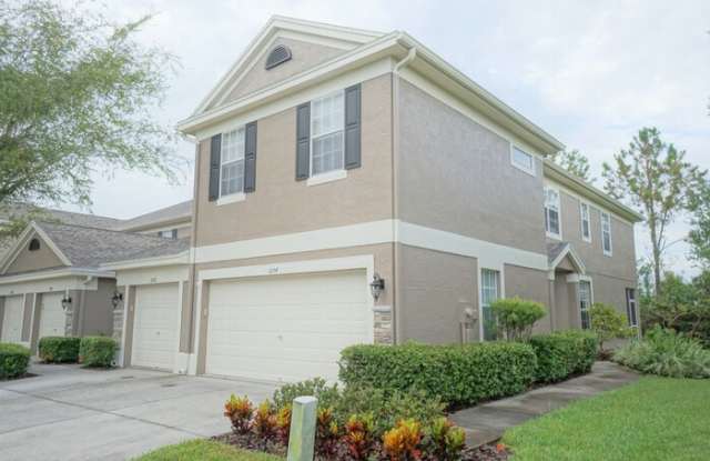 11154 Windsor Place Circle - 11154 Windsor Place Circle, Westchase, FL 33626