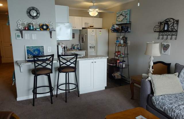 Furnished Oceanfront Condo- On the Beach! Gallery 3