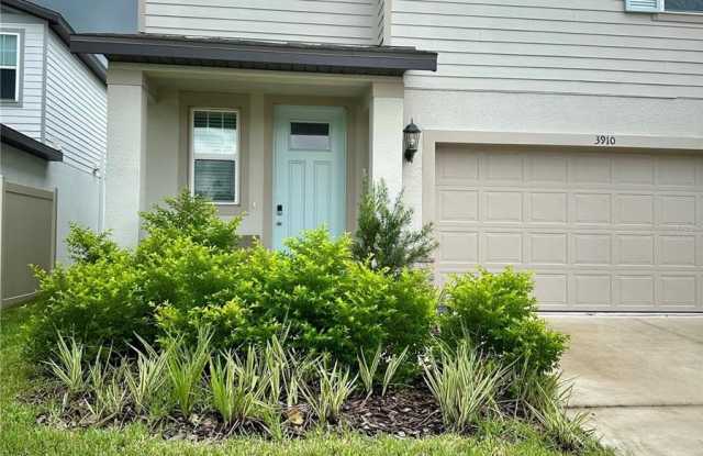 3910 RADIANT MOUNTAIN Drive Gallery 4