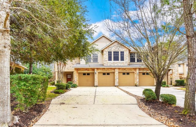 65 Scarlet Woods Court - 65 Scarlet Woods Ct, The Woodlands, TX 77380