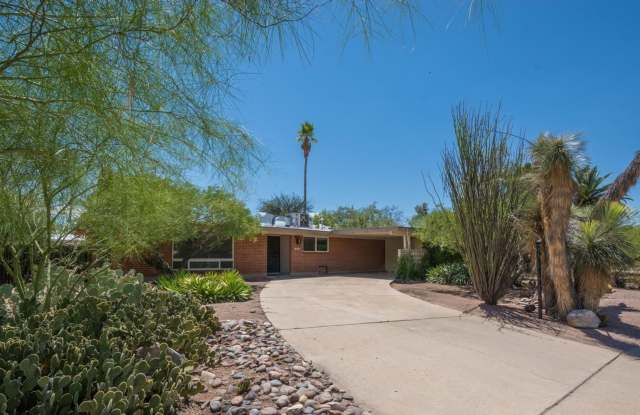 Charming Rental Opportunity in Northeast Tucson photos photos