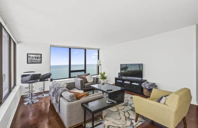 2800 N Lake Shore Drive Gallery 2