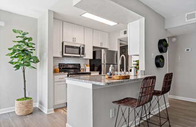 Springfield Apartments photos photos Springfield Apartments photos photos
