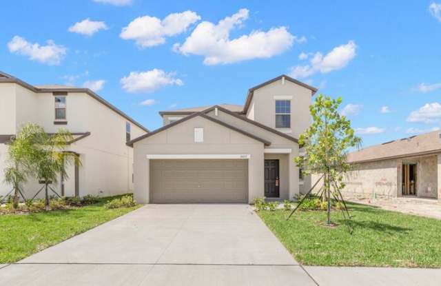 10217 Summer Kiss Avenue - 10217 Summer Kiss Avenue, Riverview, FL 33578