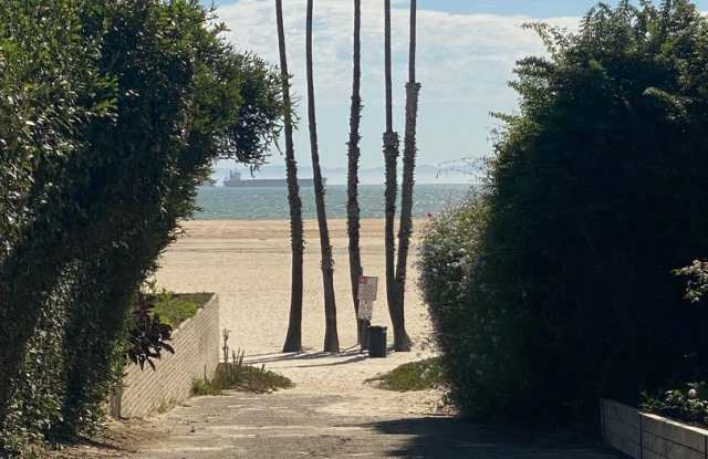 One Bedroom Steps to the Sand Gallery 4