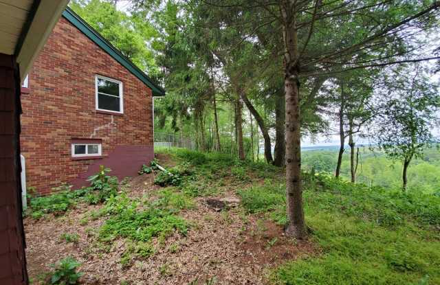 559 Clearview Gallery 2