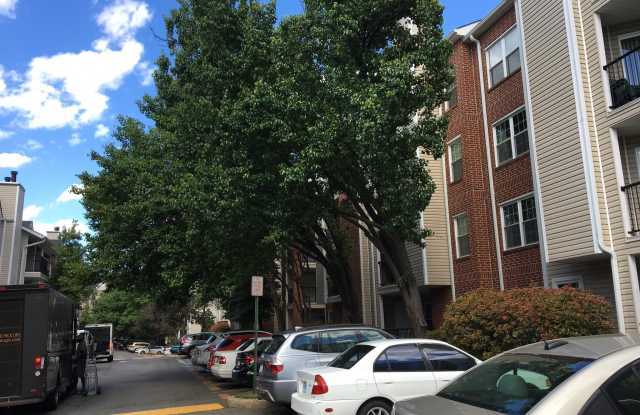 3311 WYNDHAM CIRCLE Gallery 3