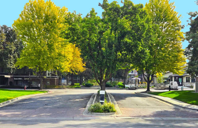 Springs of Royal Oaks Gallery 4