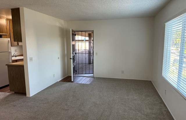 Sea Chase (Acacia Avenue) photos photos