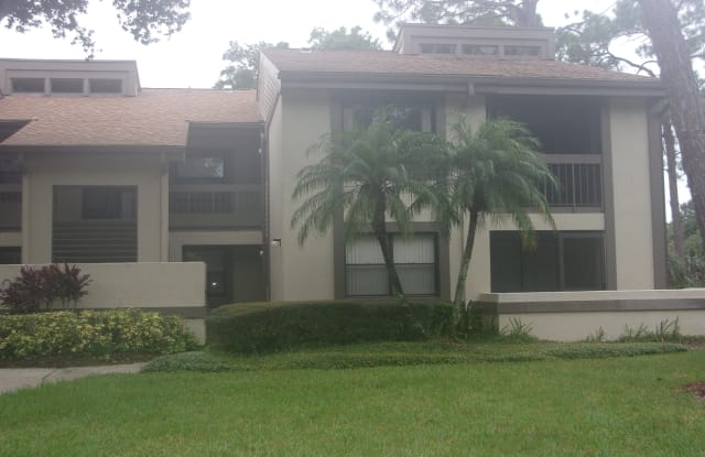 201 Woodlake Wynde - 201 Woodlake Wynde, East Lake, FL 34677