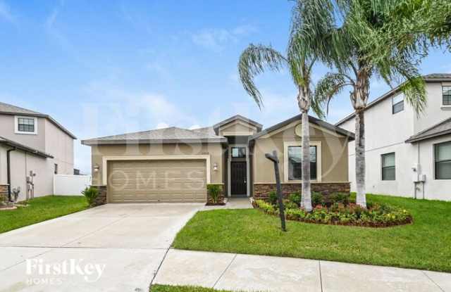 13313 Wellington Hills Drive - 13313 Wellington Hills Drive, Riverview, FL 33579
