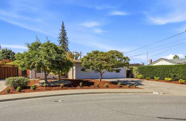 Charming Mountain View home with mature fruit trees and a private backyard retreat Gallery 1