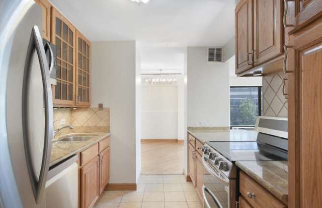 1169 South Plymouth Ct. Gallery 3