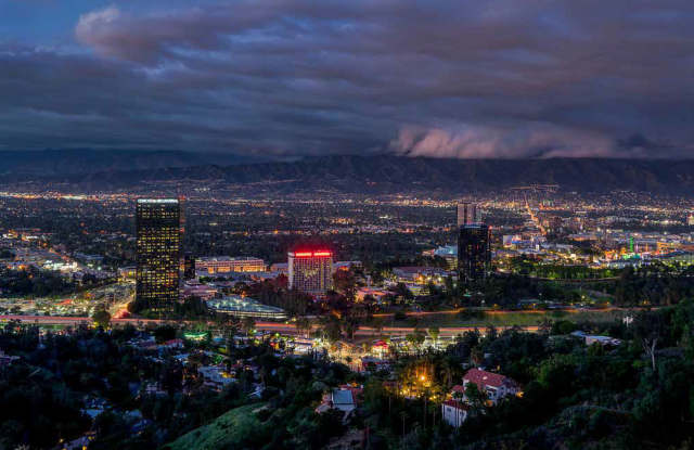 Hollywood Hills, tree lined street, perfect Mid-Century Modern homes photos photos