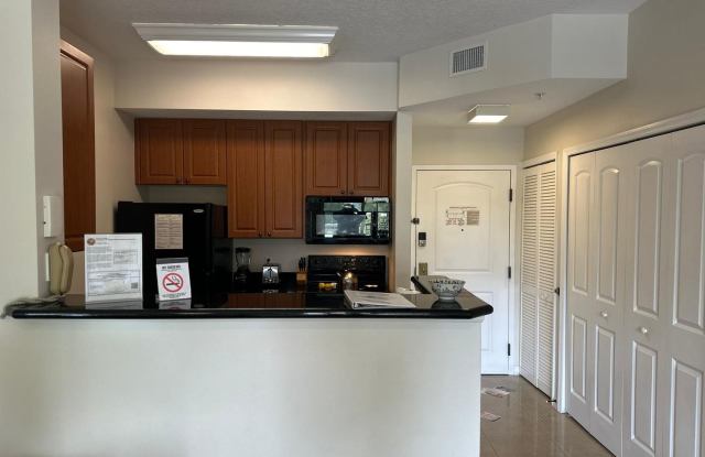 Condo-Hotel 1 Bedroom - International Dr area Gallery 4