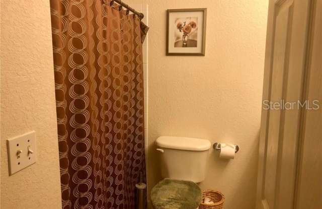 16312 FAIRFORD PALMS COURT Gallery 3