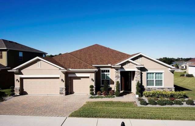 9227 Ivywood Street - 9227 Ivywood Street, Lake County, FL 34711