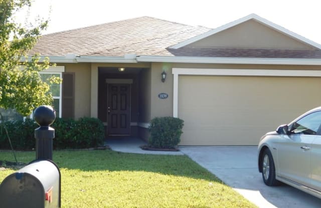 1039 Lemon Drop Lane - 1039 Lemon Drop Lane, Clay County, FL 32068