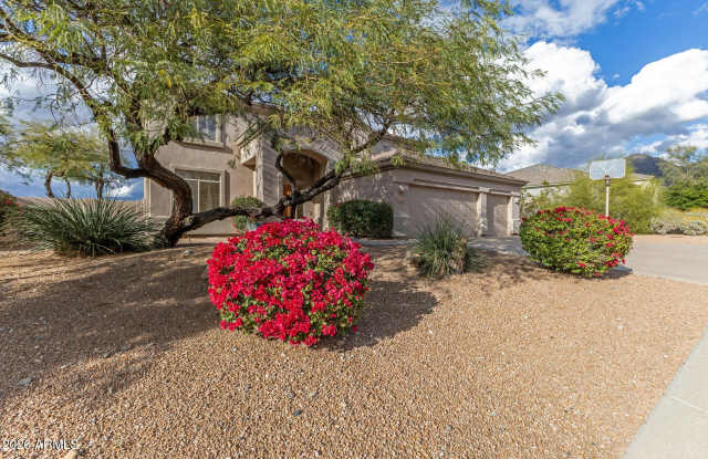 10872 E Raintree Drive Gallery 2
