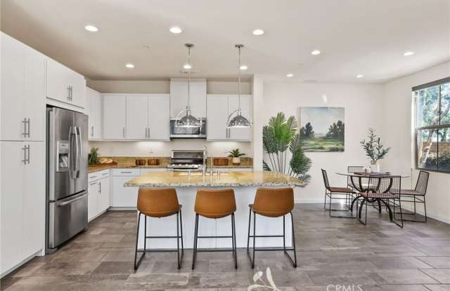 116 Agave photos photos
