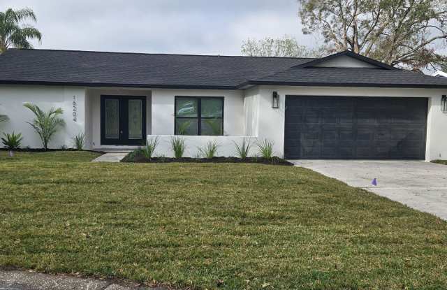 Completely remodeled 4 Bed 4 Bath home with an Office / Bonus room and large Fenced in yard. - 16204 September Drive, Lutz, FL 33549