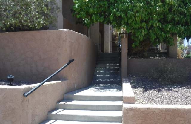 8263 N Oracle Road #236 Gallery 4