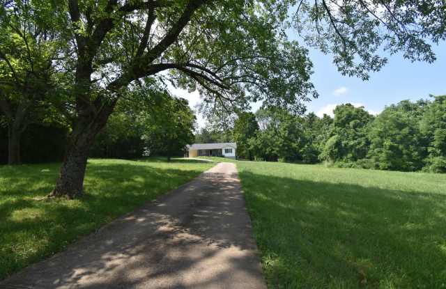 2 Bedroom Pet Friendly Home For Rent! photos photos