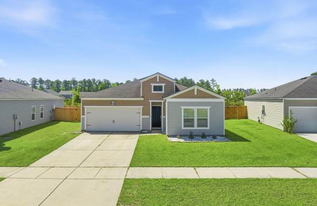 4 Bedroom, 2 Bathroom Home in Lindera Preserve - Summerville Gallery 1