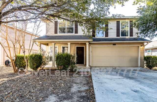 11710 Wayward Daisy photos photos