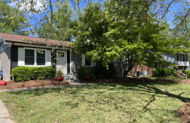 901 James Street - 901 James Street, Apex, NC 27502