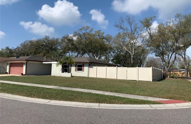 6501 CRYSTAL BROOK DRIVE - 6501 Crystal Brook Drive, Citrus Park, FL 33625