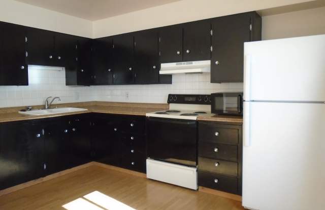 3007 High Drive - 3007 High Drive, Evans, CO 80620