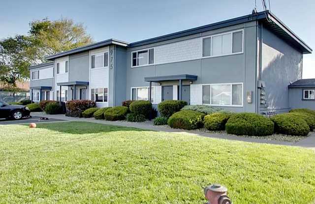 ELGIN STREET APARTMENTS photos photos