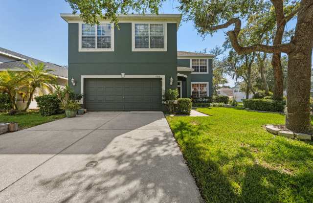 7310 Brightwater Oaks Drive - 7310 Brightwater Oaks Drive, Citrus Park, FL 33625