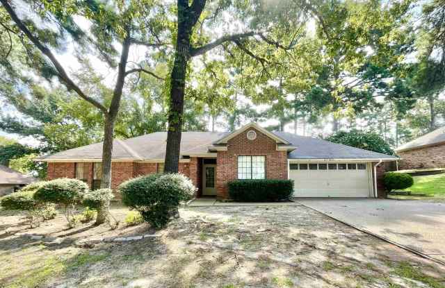 18161 Silver Leaf Dr - 18161 Silver Leaf Road, Smith County, TX 75762