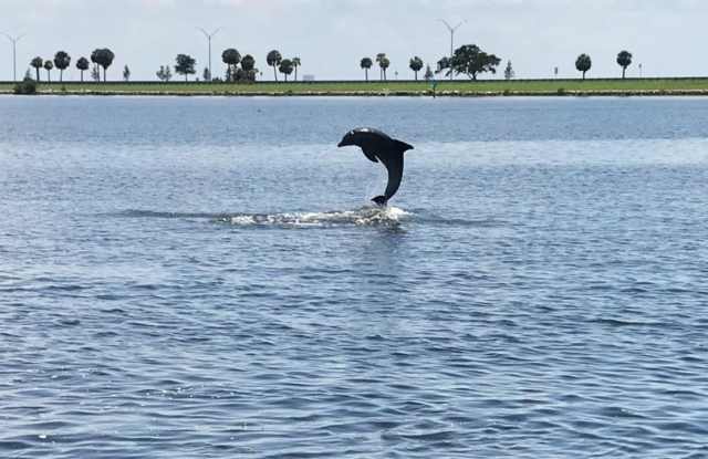 8822 BAY POINTE Drive Gallery 3
