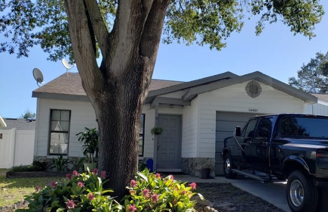 13421 Laraway Dr - 13421 Laraway Drive, Riverview, FL 33579