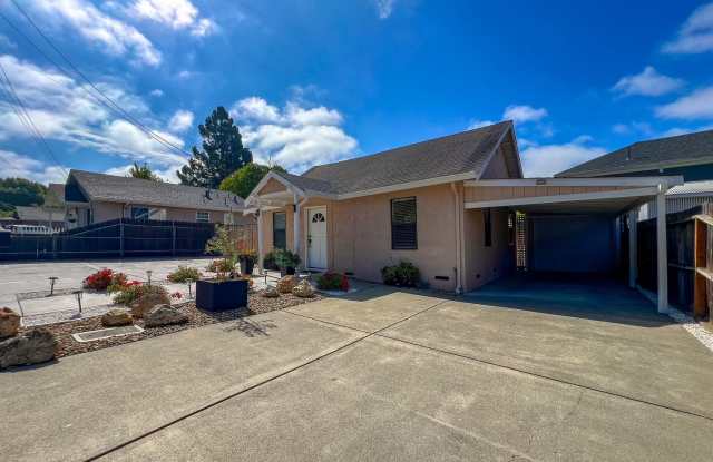 Renovated Alta Heights Retreat - Available Furnished or Unfurnished Gallery 4