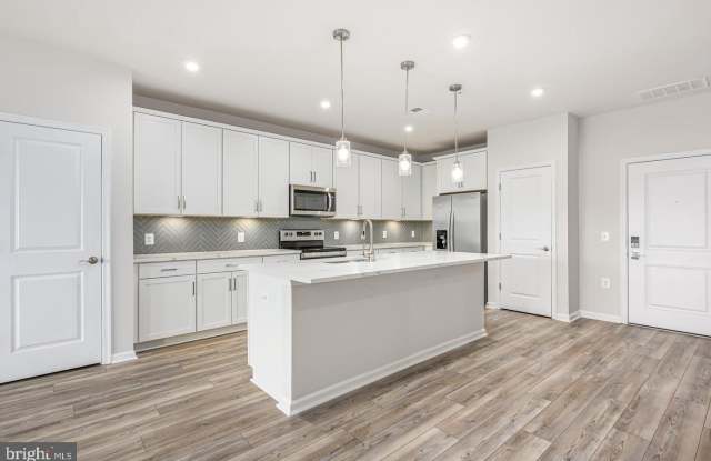 21894 HAWKSBILL HIGH Circle Gallery 4