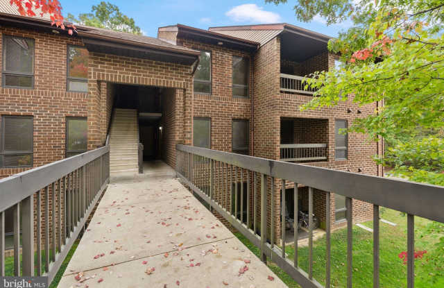 23250 CHESTNUT OAK Court Gallery 1