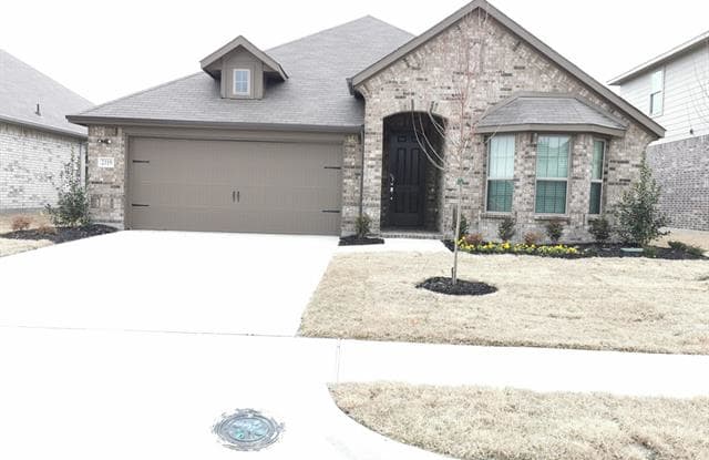 2319 Mount Olive Lane - 2319 Mount Olive Ln, Travis Ranch, TX 75126