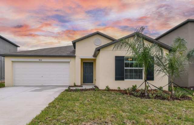 9828 BRANCHING SHIP TRACE TRACE photos photos